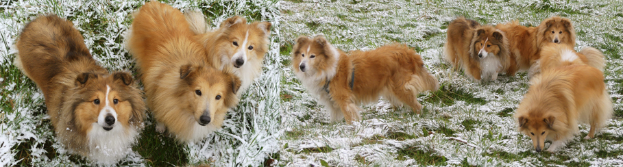 Beetje sneeuw allemaal 5 Januari 2025